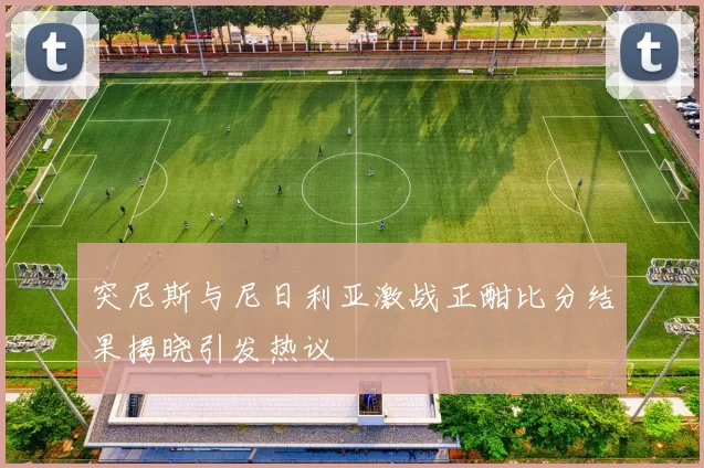 突尼斯与尼日利亚激战正酣比分结果揭晓引发热议