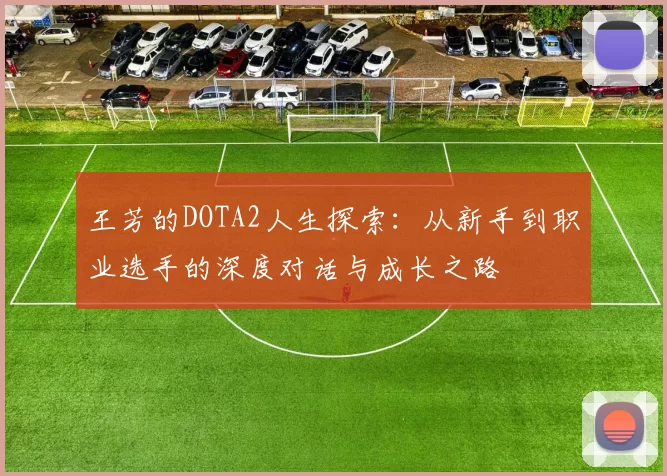 王芳的DOTA2人生探索：从新手到职业选手的深度对话与成长之路