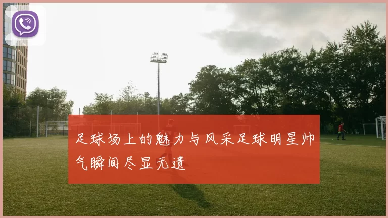 足球场上的魅力与风采足球明星帅气瞬间尽显无遗