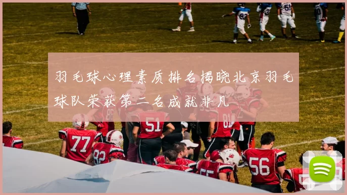 羽毛球心理素质排名揭晓北京羽毛球队荣获第二名成就非凡