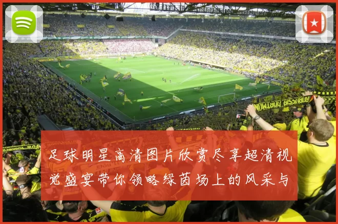 足球明星高清图片欣赏尽享超清视觉盛宴带你领略绿茵场上的风采与魅力